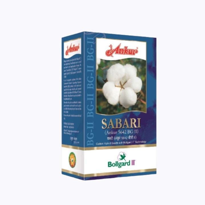 अंकुर सबरी ५६४२ बीजी II संकरित कापूस बियाणे