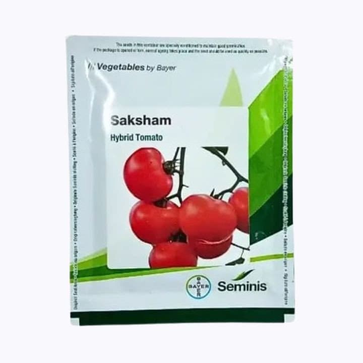 സെമിനിസ് സക്ഷം ഹൈബ്രിഡ് തക്കാളി വിത്തുകൾ