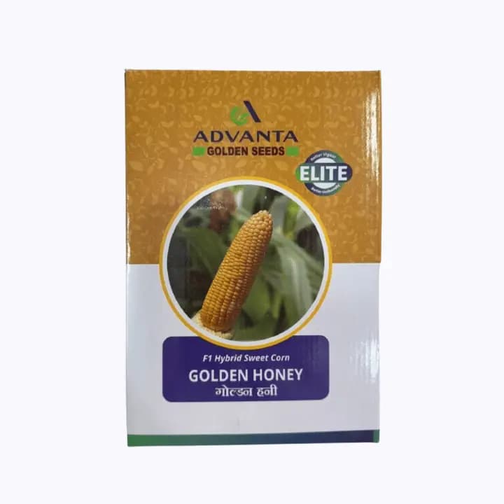 അഡ്വാന്റ ഗോൾഡൻ ഹണി സ്വീറ്റ് കോൺ സീഡ്