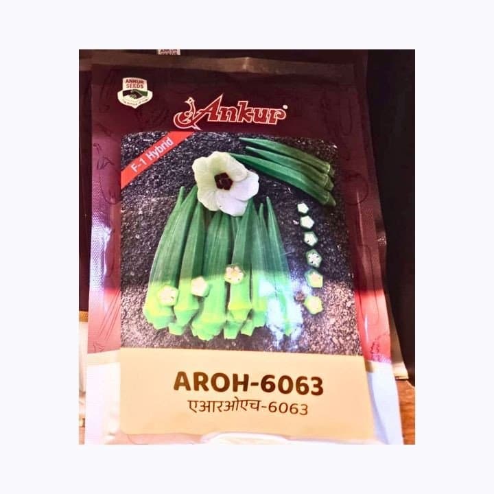 അങ്കുർ AROH-6063 F1 ഹൈബ്രിഡ് ഒക്ര (ഭിണ്ടി) വിത്തുകൾ