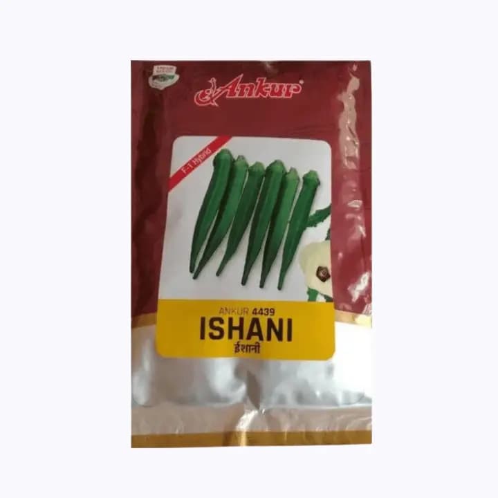 அங்கூர் இஷானி 4439 பெண்டி விதைகள்
