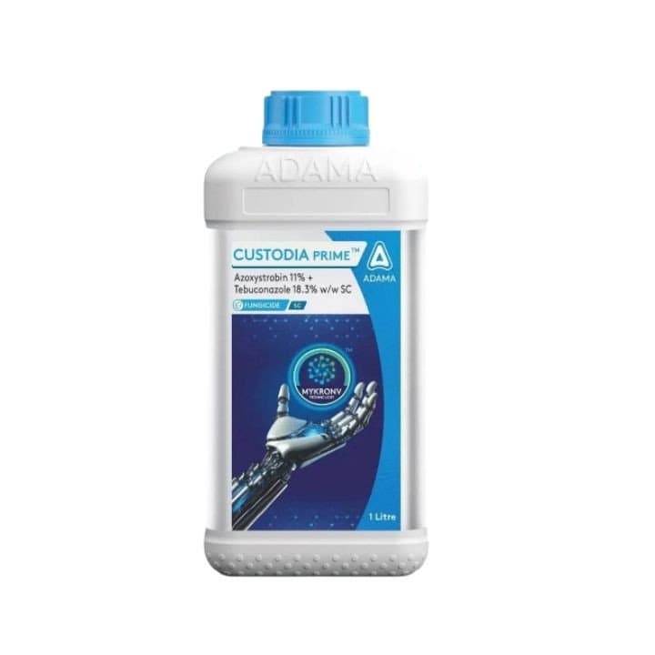 Adama CUSTODIA PRIME Azoxystrobin 11% + Tebuconazole 18.3% SC Fungicide