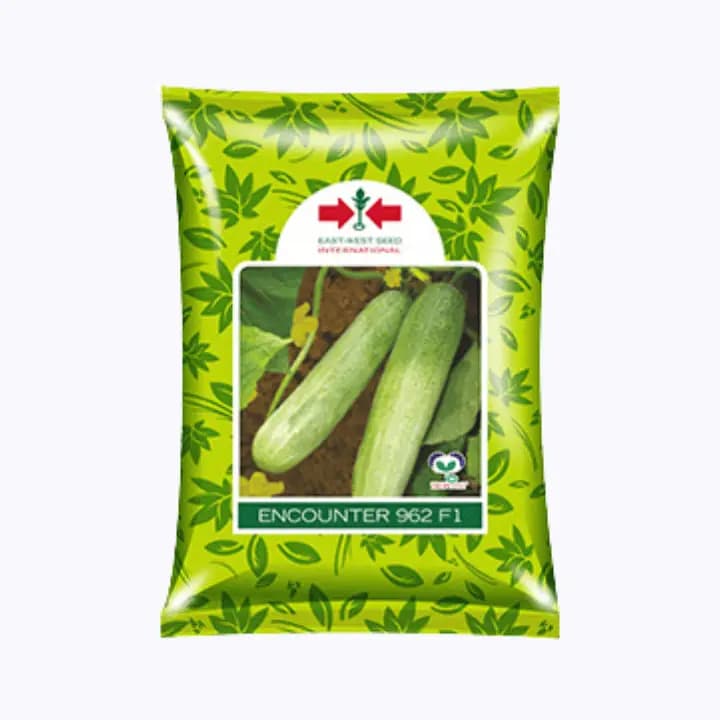 पूर्व पश्चिम काकडीच्या बियाणे