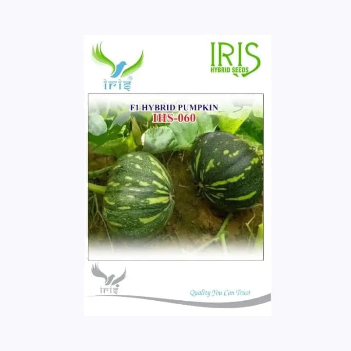 ஐரிஸ் IHS-060 பூசணி விதைகள்