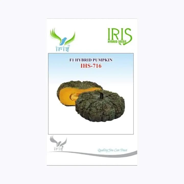 ஐரிஸ் IHS-716 பூசணி விதைகள்