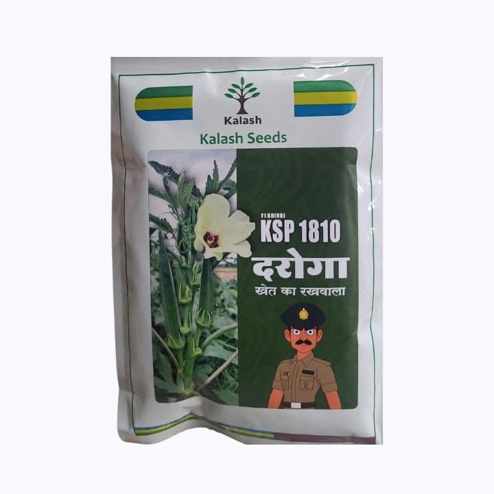 கலாஷ் விதைகள் F1 பிண்டி KSP 1810 தரோகா - கலப்பின ஓக்ரா விதைகள்