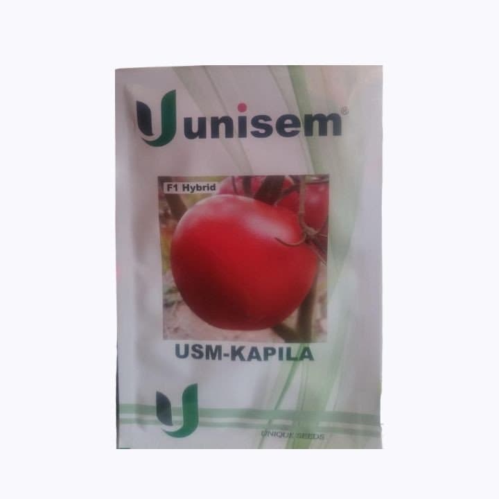 USM കപില F1 ഹൈബ്രിഡ് തക്കാളി വിത്തുകൾ