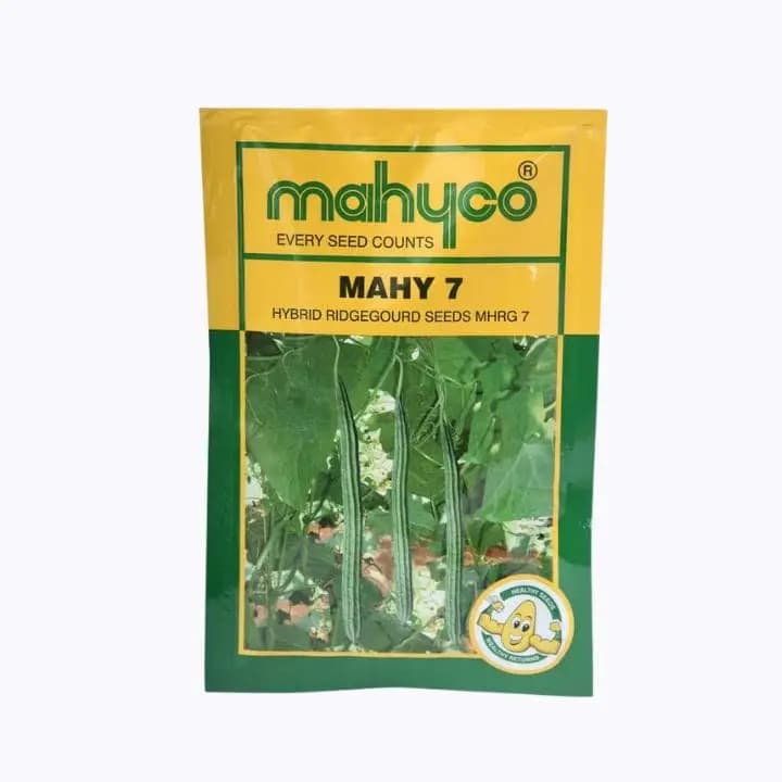 மஹைகோ மஹை 7 பீர்க்கங்காய் விதைகள்