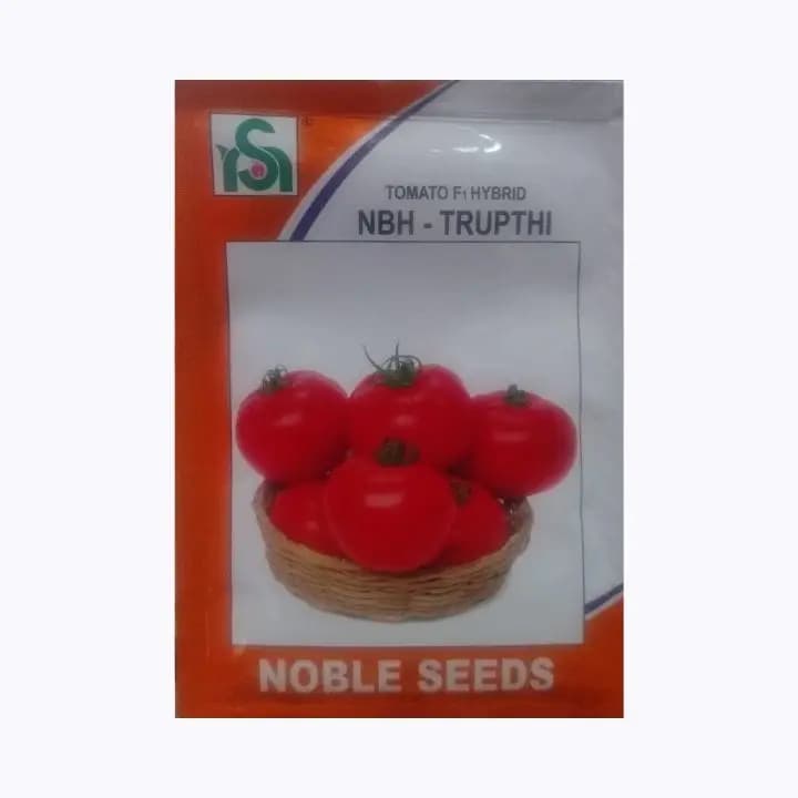 നോബിൾ സീഡ്സ് തക്കാളി NBH തൃപ്തി 10 ഗ്രാം