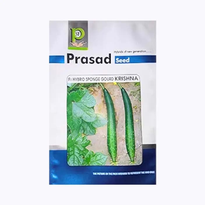 പ്രസാദ് കൃഷ്ണ സ്പോഞ്ച് ഗോർഡ് വിത്തുകൾ