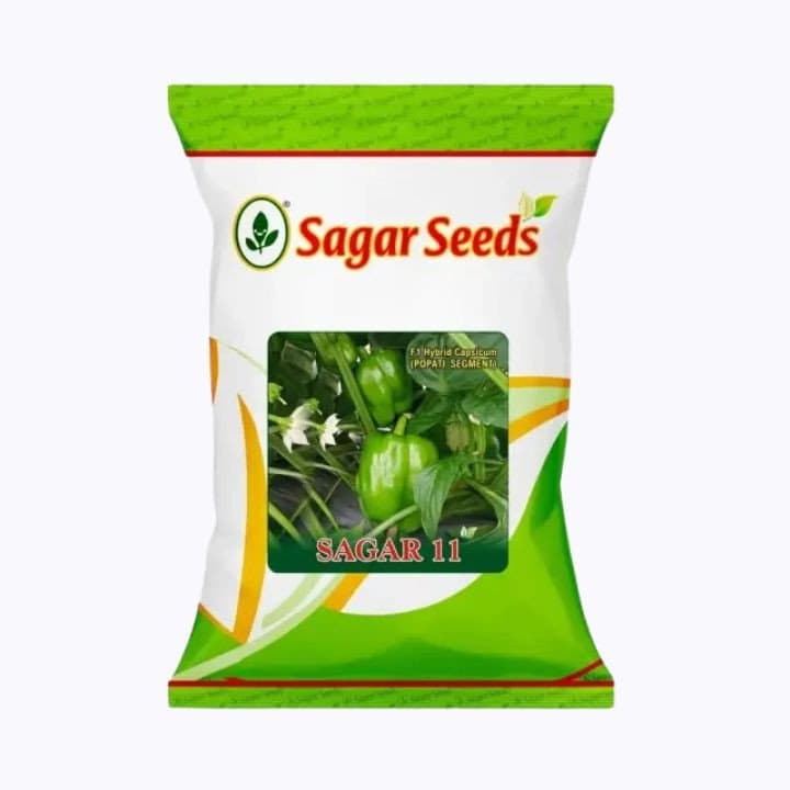 സാഗർ 11 കാപ്സിക്കം വിത്തുകൾ