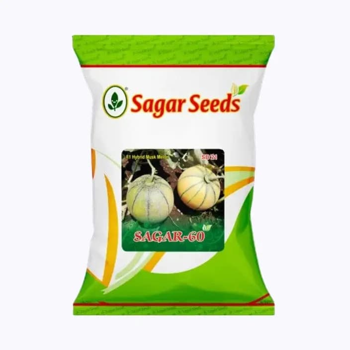 सागर ६० खरबुजाच्या बिया