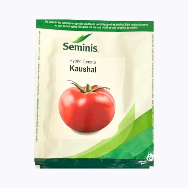 സെമിനിസ് കൗശൽ തക്കാളി വിത്തുകൾ