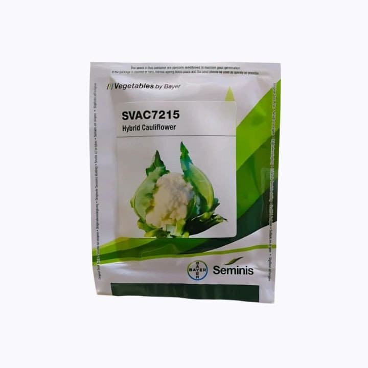 സെമിനിസ് Svac7215 F1 ഹൈബ്രിഡ് കോളിഫ്ലവർ വിത്തുകൾ