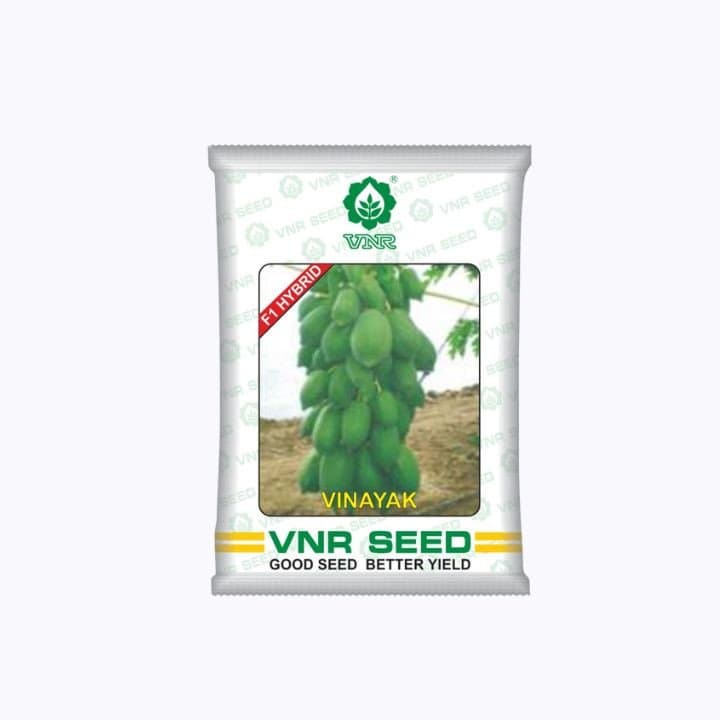 വിഎൻആർ പപ്പായ ഹൈബ്രിഡ് വിനായക് വിത്തുകൾ