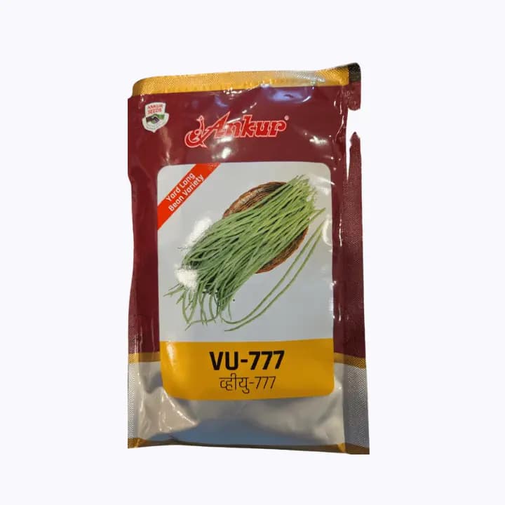 அன்குர் வு-777 யார்டு நீள பீன் விதைகள்