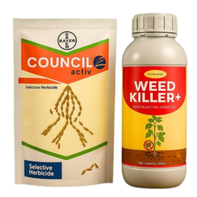 Insecticides