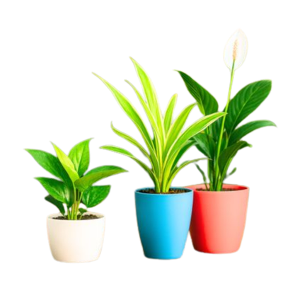 Fungicides