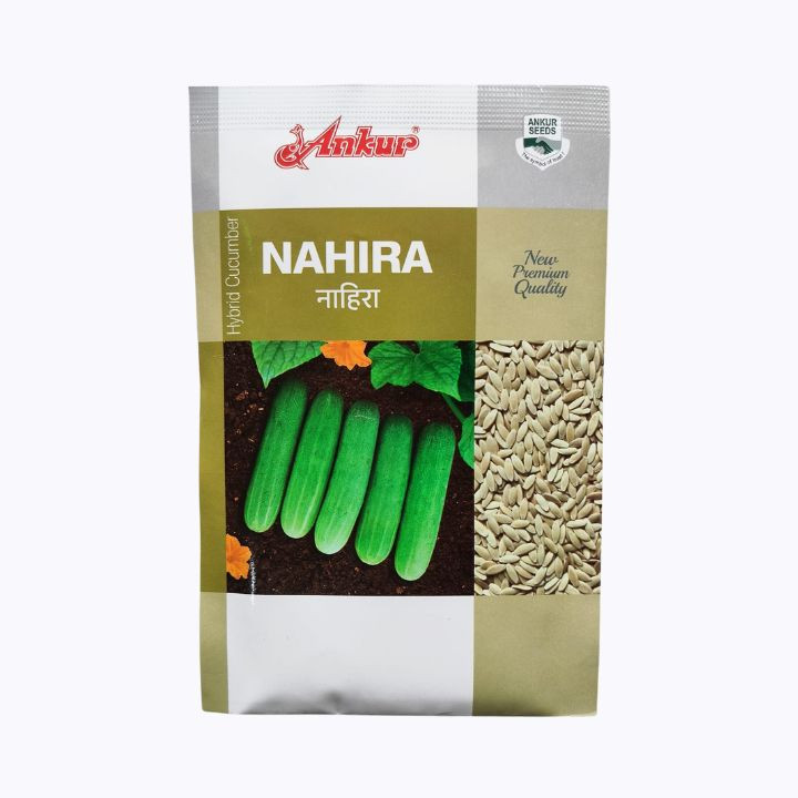 Ankur Nahira F1 Hybrid Cucumber Seeds