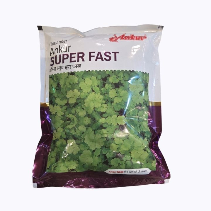 Ankur Super Fast Coriander (Dhaniya) Seeds