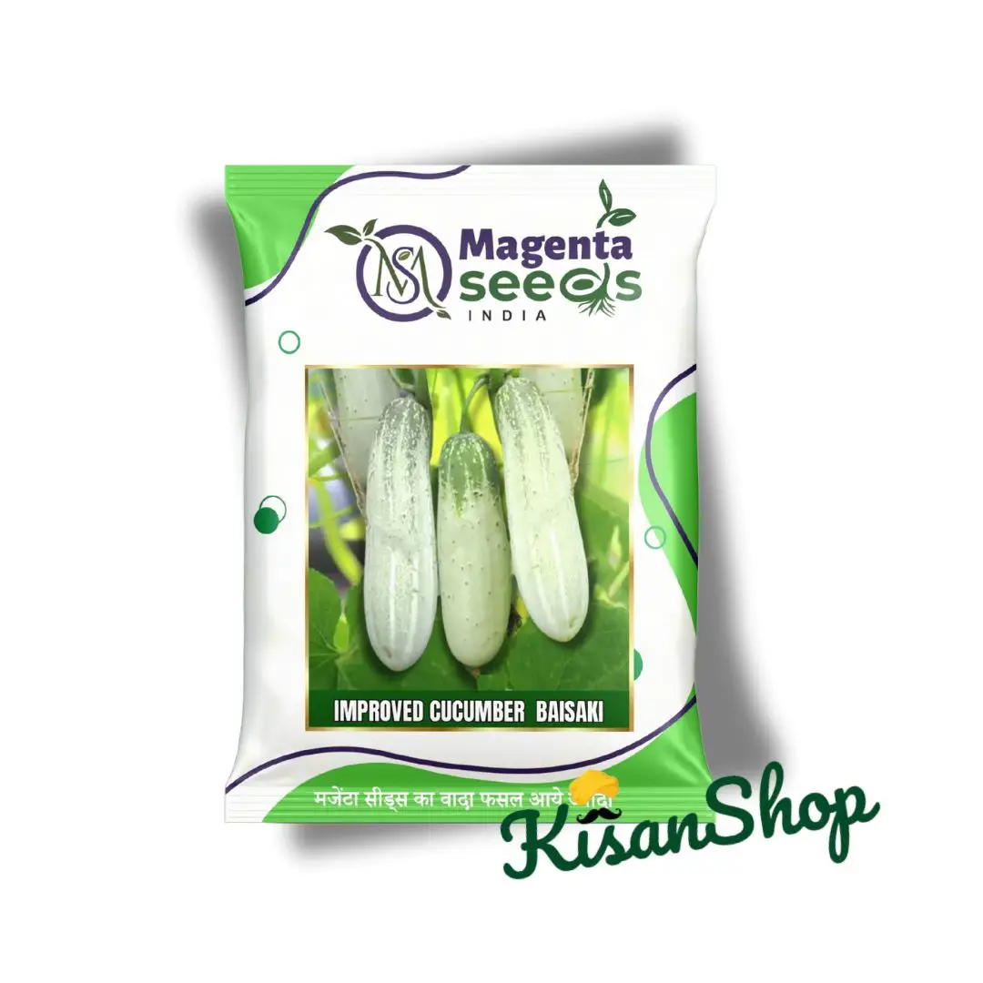 Baisakhi - White Desi Cucumber Seeds