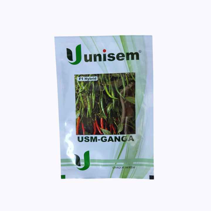 USM Ganga Red Chilli Seeds