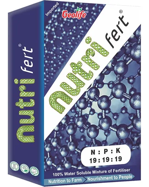 Geolife NutriFert 19:19:19 Fertilizer