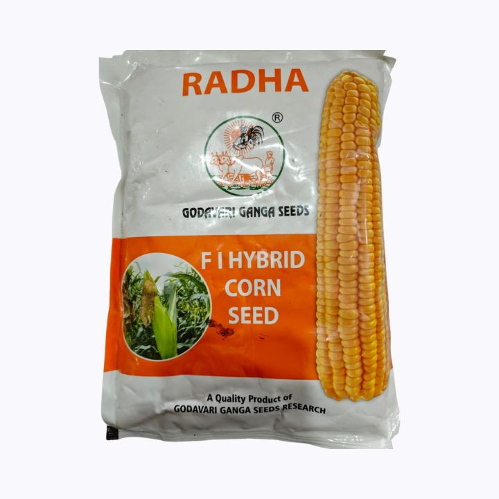Godavari Ganga Seeds Radha F1 Hybrid Corn Seed