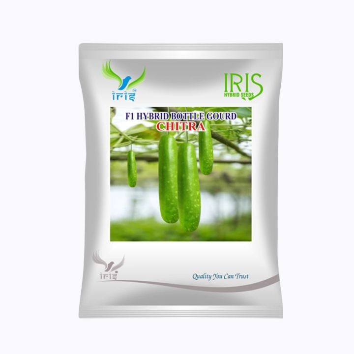 Iris F1 Hybrid Chitra Bottle Gourd Seeds