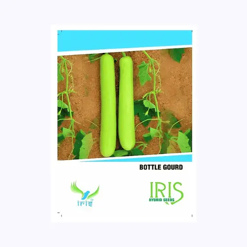 Iris Hybrid F1 Bottle Gourd Seeds