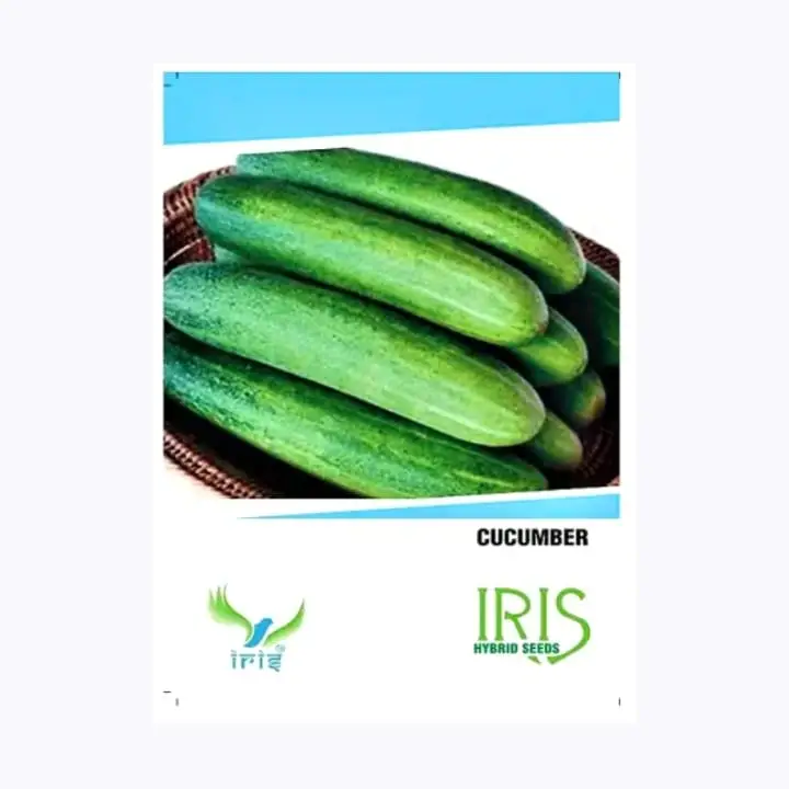 Iris Hybrid F1 Cucumber Seeds