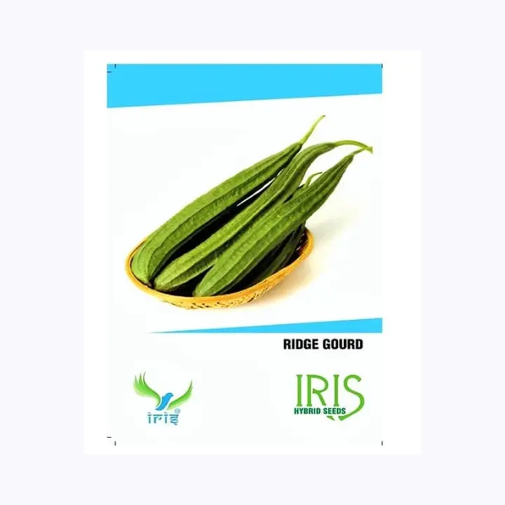 Iris Hybrid F1 Ridge Gourd Seeds
