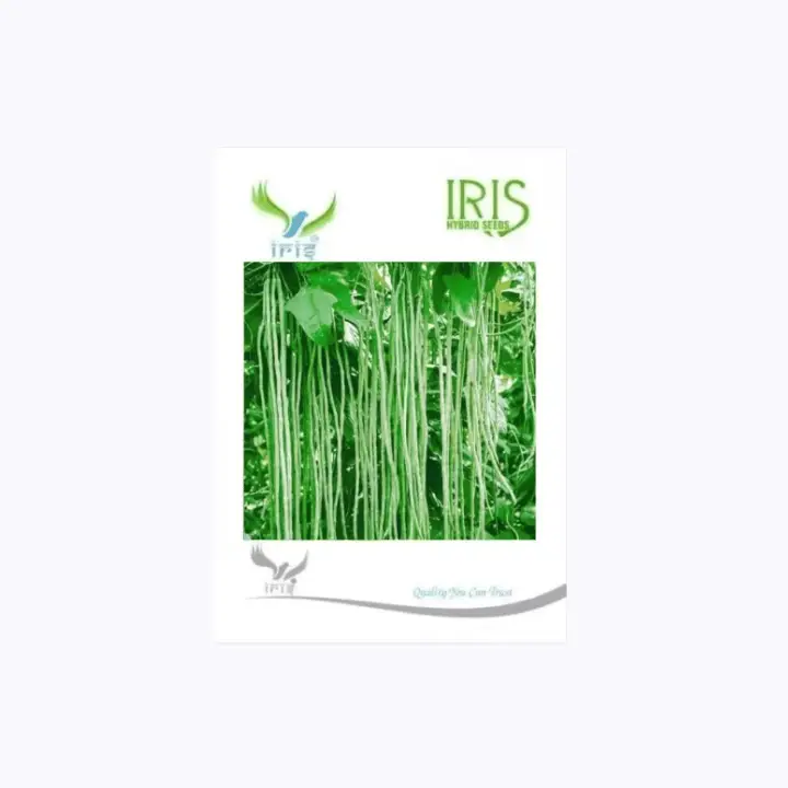 Iris Hybrid F1 Yard Long Beans Seeds