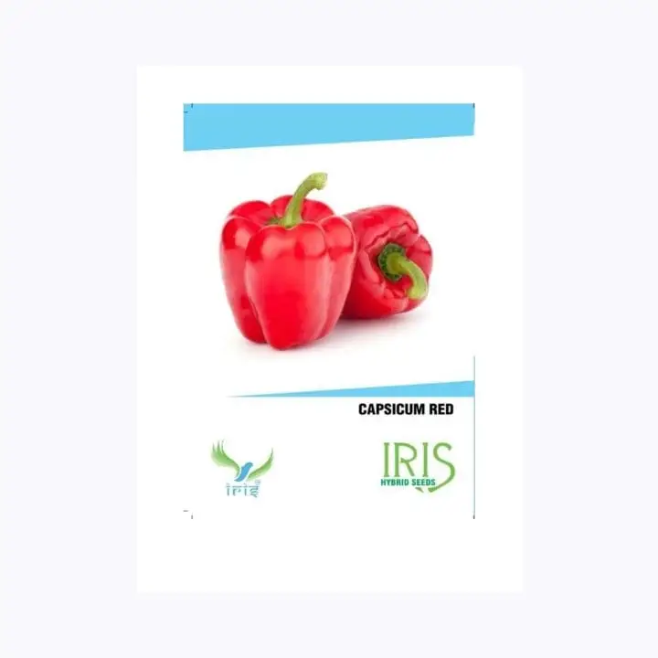 Iris Imported Red Capsicum Seeds