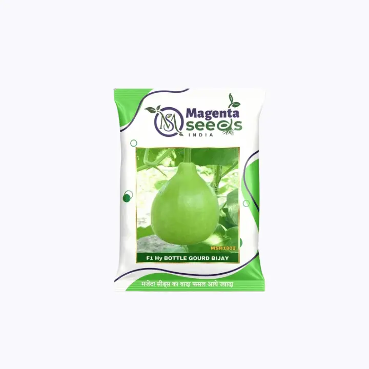 Magenta Bijay-Hybrid Bottle Gourd Seeds