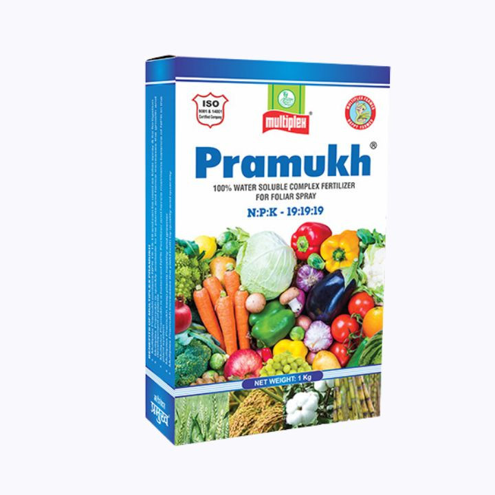 Multiplex Pramukh 19:19:19 NPK Fertilizer