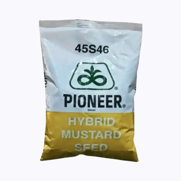 PIONEER 45S46 F1 Hybrid Mustard Seeds