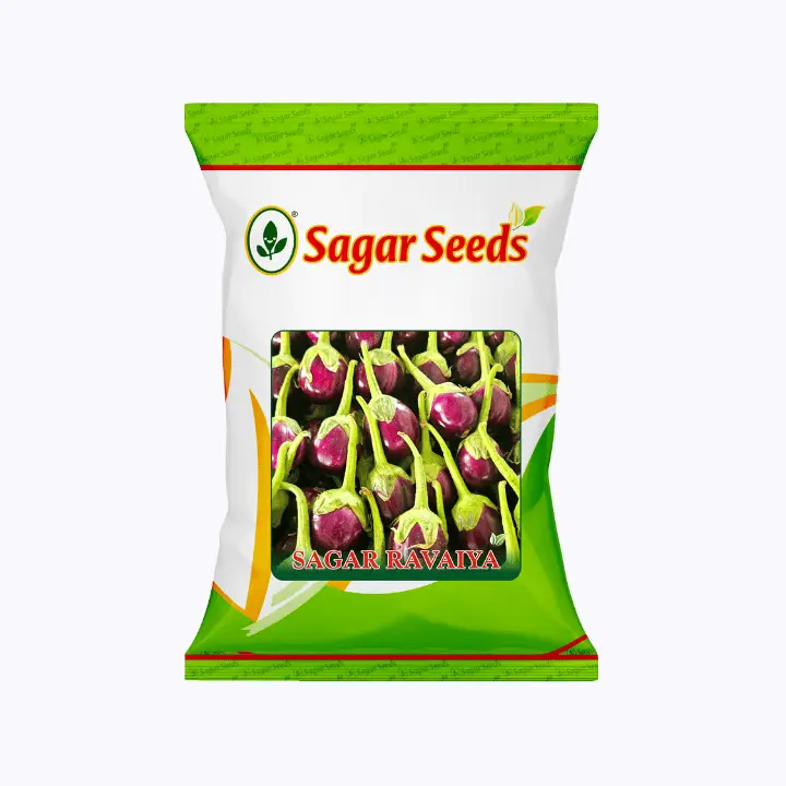 Sagar Ravaya F1 Hybrid Brinjal Seeds