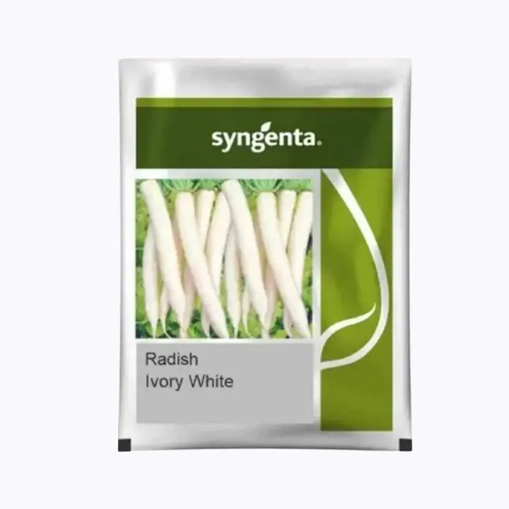 Syngenta Radish Ivory White Seeds