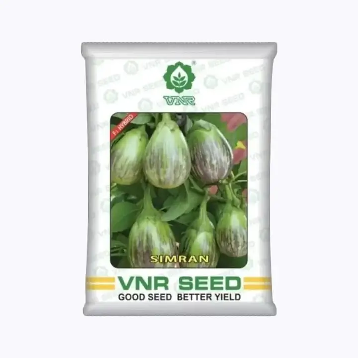 VNR Simran Brinjal Seeds