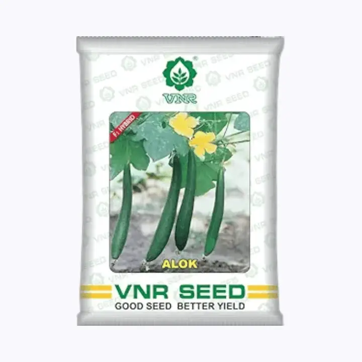 VNR Sponge Gourd Alok F1 Hybrid Seeds