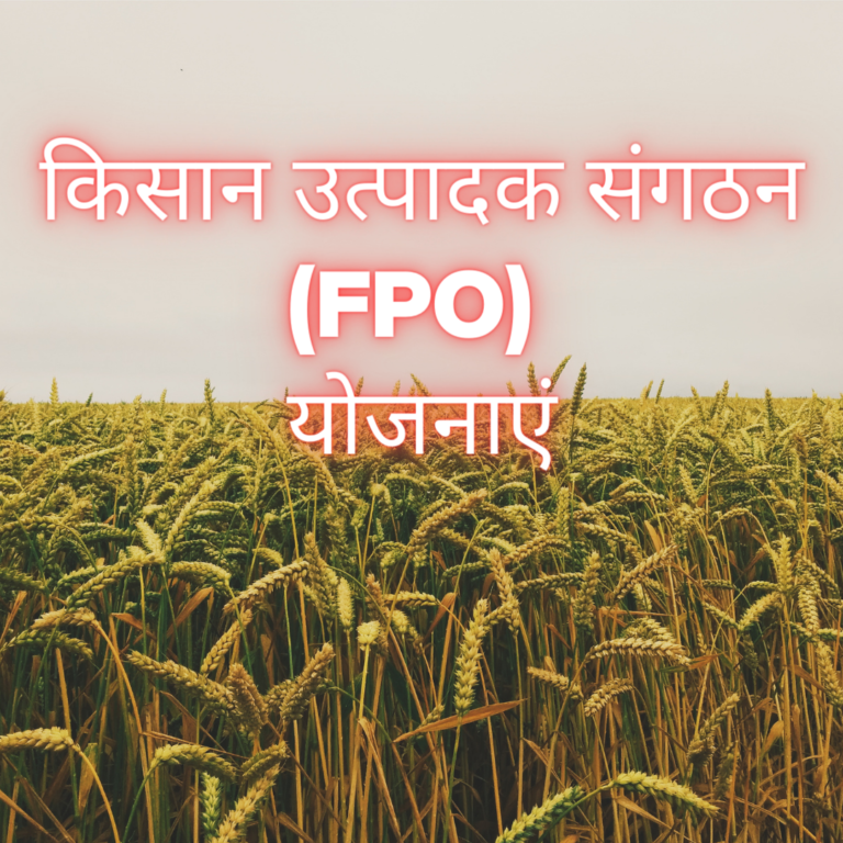 किसान उत्पादक संगठन (FPO) योजनाएं